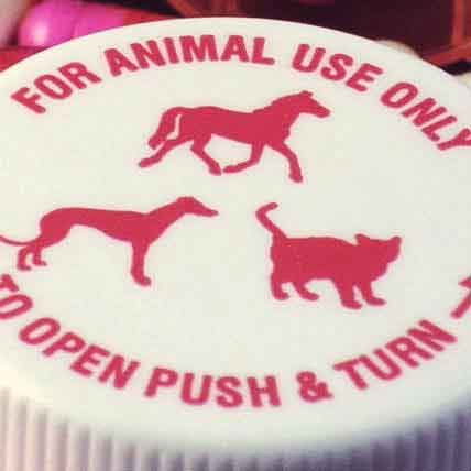 3 Drugs You're Spending Too Much on at the Vet