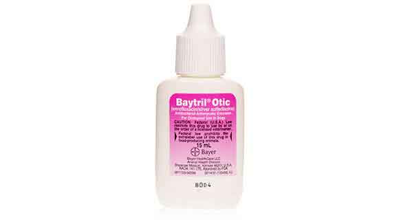 Baytril Otic (Enrofloxacin Drops) Treat Pet Ear Infections PetCareRx