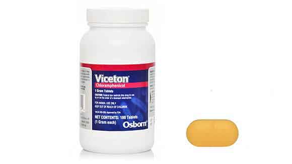 Viceton (Chloramphenicol) Treating Infections for Dogs PetCareRx