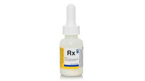 Ciloxan Eye Drops Generic Option - Ciprofloxacin Hcl | PetCareRx