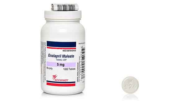 what is enalapril maleate used for in dogs