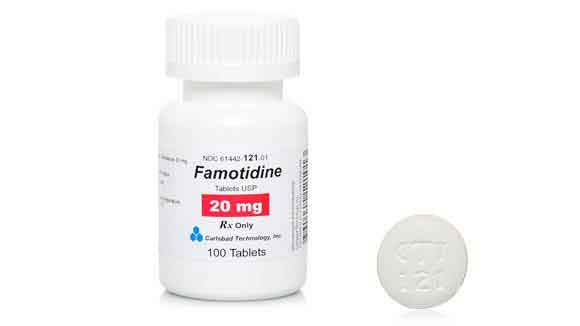 Using Famotidine for Dogs and Cats