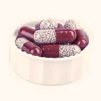 Theophylline For Dogs With Collapsed Trachea