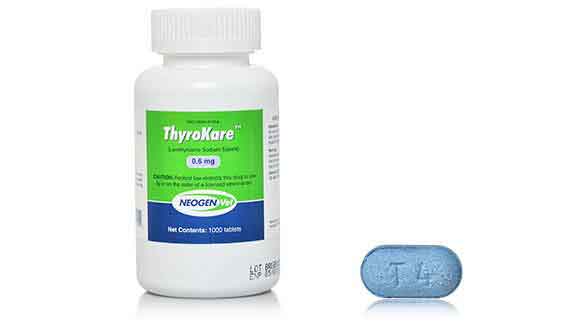 Thyrotabs (LThyroxine) Treat Hypothyroidism in Dogs PetCareRx