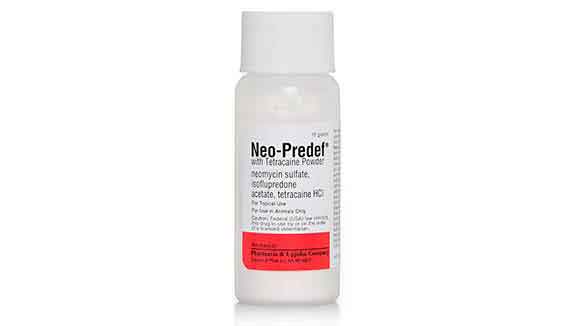 Neo-Predef with Tetracaine Powder Offers Pets Itch Relief | PetCareRx