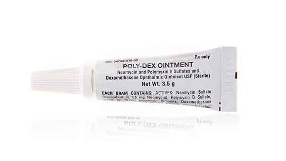 Neo Poly Dex Ointment - Eye Infections in Dogs and Cats | PetCareRx