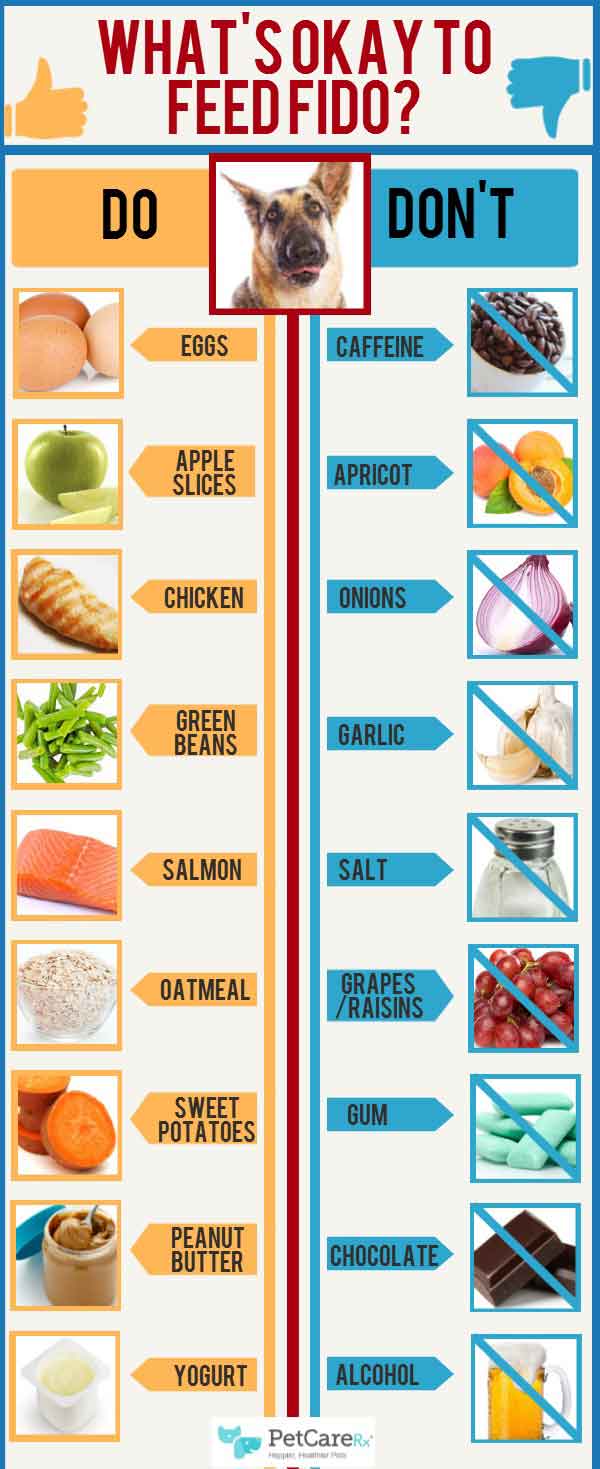 What People Food Can Dogs Eat? An Infographic PetCareRx