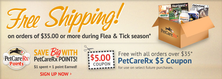 Free standard shipping on orders over $49