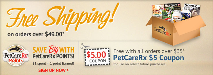 Free standard shipping on orders over $49
