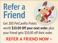 Special Offer