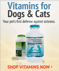 Vitamins for Dogs & Cats: Your Pet's First defense against sickness.