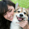 How to Brush a Dog’s Teeth