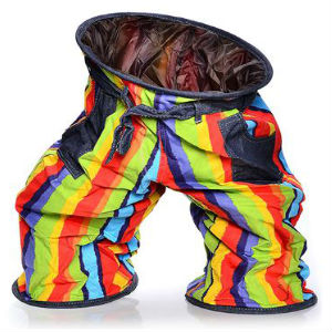 Crazy-Pants-Cat-Tunnel