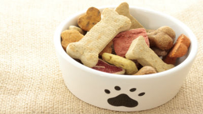 dog-treats