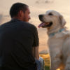 Be Flea Free: Protect Yourself From Pests