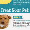 Get Rid of Fleas in 8 Steps - Infographic
