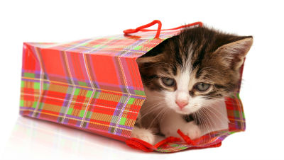 Holiday-Kitty