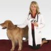 How to Use Frontline Plus for Dogs (VIDEO)