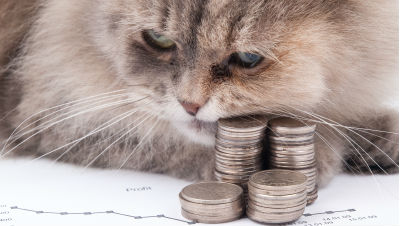pet-insurance-pros-cons pet-insurance-pros-cons