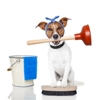 Pet Safety and Household Cleaning Products