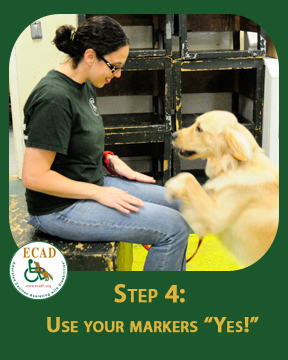 my-lap-step-4