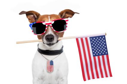 usa dog