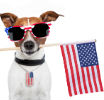 Presidential Pets