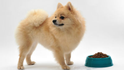 Underweight-5-Facts