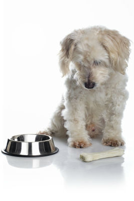 Underweight-Symptoms