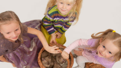 cats-for-kids