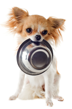 chibowl