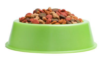 ash-dog-food