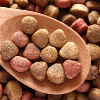 Find the Right Food For Your Dog