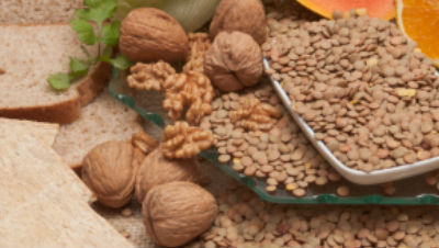 fiber-in-dog-food