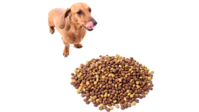 dog-food-ingredients