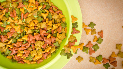 hypoallergenic-dog-food