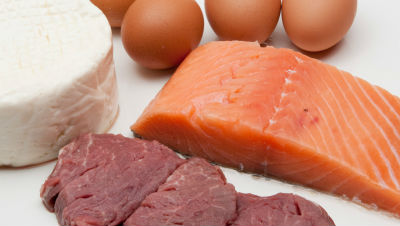 protein-dog-food