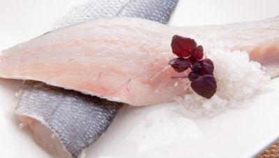 fish-in-dog-food