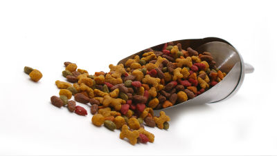 wet-or-dry-dog-food