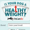 The PetCareRx Healthy Dog Weight Tool