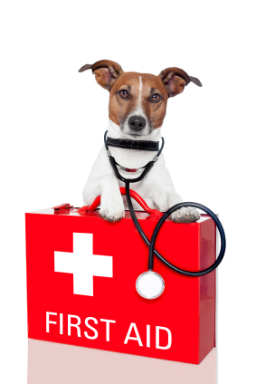 first aid first aid