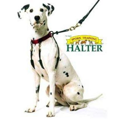 no-pull-dog-halter