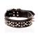Leather Spike Collar 1