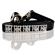 Nylon Jewel Collars and Leashes 5