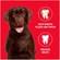 Petrodex Enzymatic Toothpaste for Dogs 3