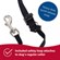 Coastal Holt Headcollars 2