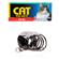 Cat Tie Out 2