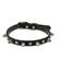 Leather Collars 10