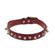 Leather Collars 12