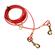 Tree Hugger Cable Tie Out for Dogs 1